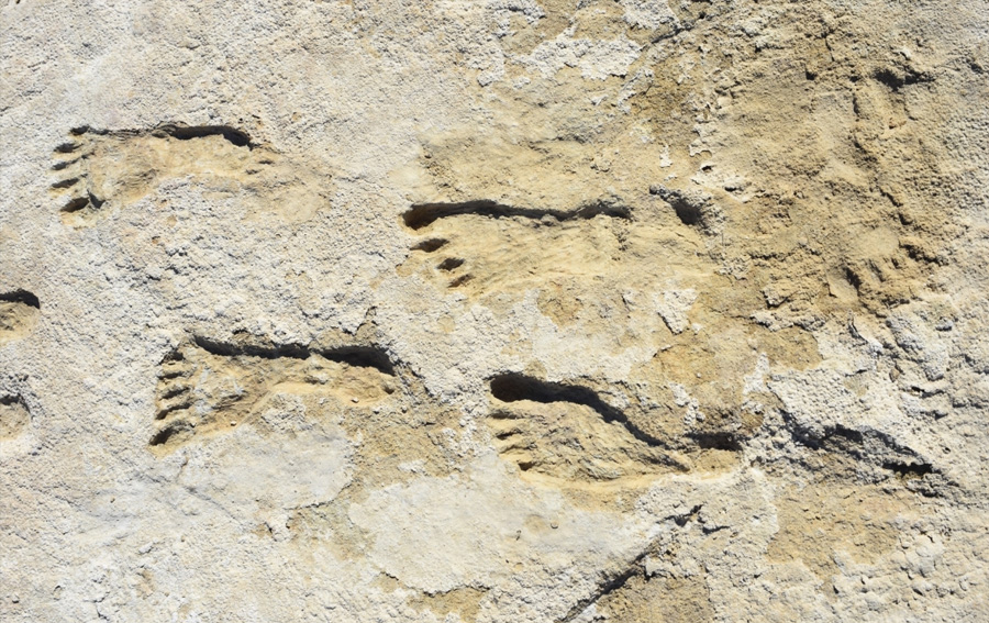 23,000-Year-Old Human Footprints In New Mexico