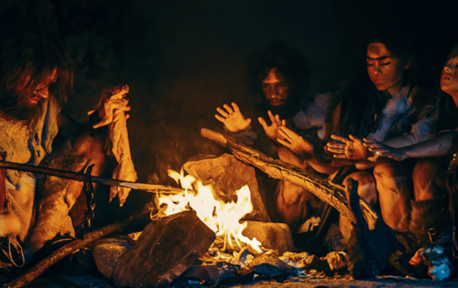 Fire for Cooking Food 780,000 Years Ago