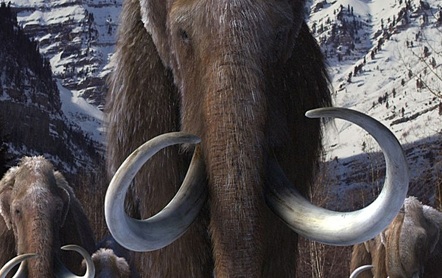 Problems with Mammoth Extinction Timeline